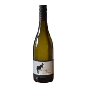 2024 Sauvignon Blanc vom Löss